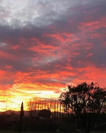 Appartement Sainte-Maxime 아파트 *